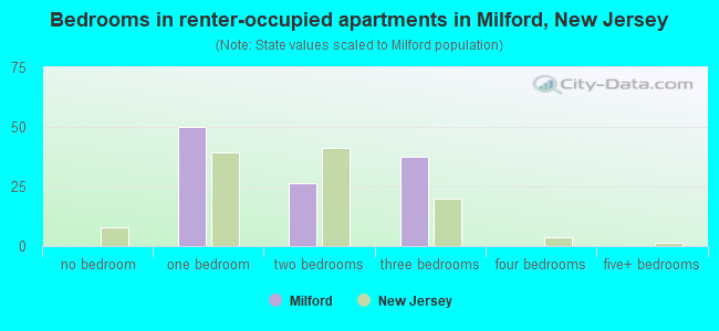 Bedrooms in renter-occupied apartments in Milford, New Jersey