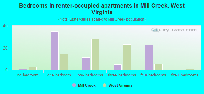 Bedrooms in renter-occupied apartments in Mill Creek, West Virginia