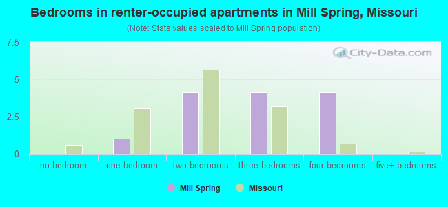 Bedrooms in renter-occupied apartments in Mill Spring, Missouri