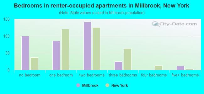 Bedrooms in renter-occupied apartments in Millbrook, New York
