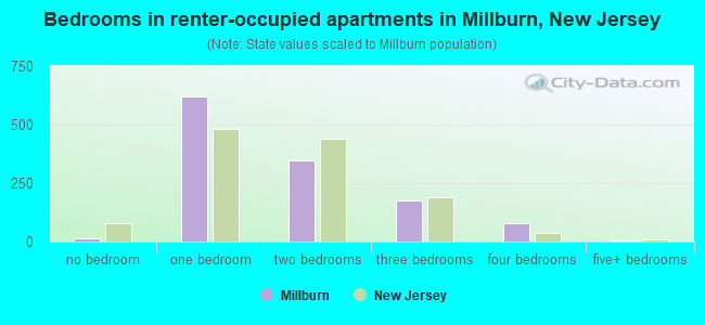 Bedrooms in renter-occupied apartments in Millburn, New Jersey