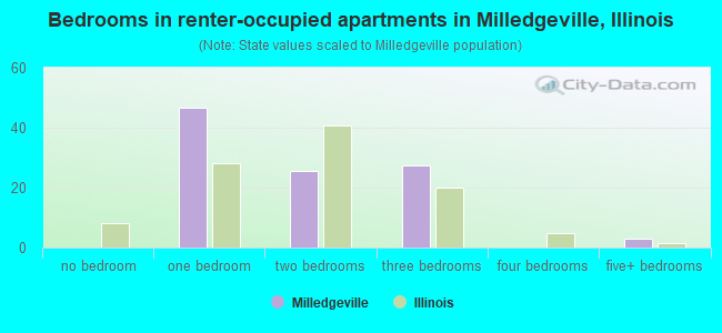 Bedrooms in renter-occupied apartments in Milledgeville, Illinois