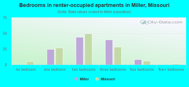 Bedrooms in renter-occupied apartments in Miller, Missouri