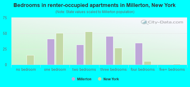 Bedrooms in renter-occupied apartments in Millerton, New York