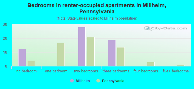 Bedrooms in renter-occupied apartments in Millheim, Pennsylvania