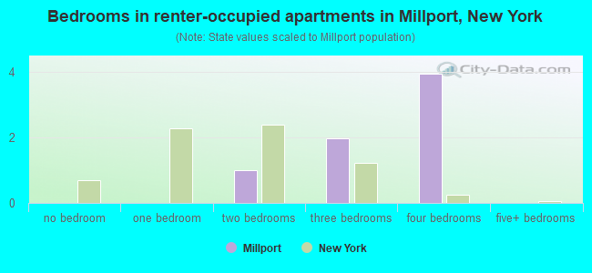 Bedrooms in renter-occupied apartments in Millport, New York
