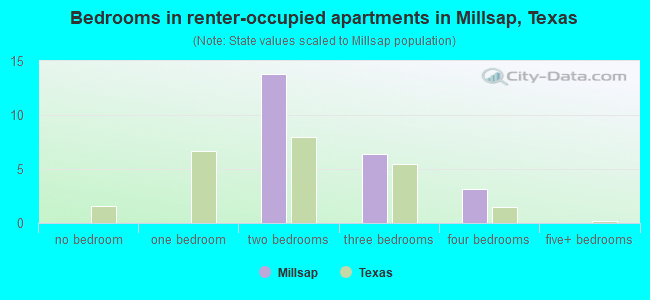 Bedrooms in renter-occupied apartments in Millsap, Texas
