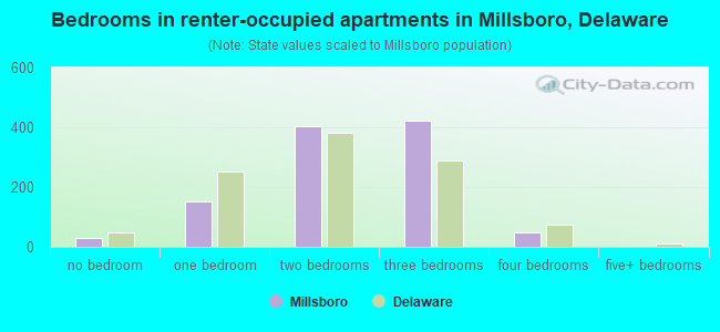 Bedrooms in renter-occupied apartments in Millsboro, Delaware