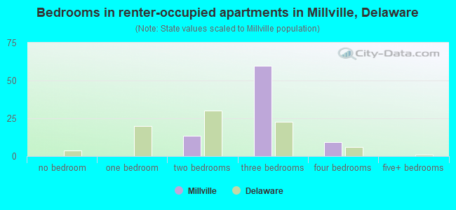 Bedrooms in renter-occupied apartments in Millville, Delaware