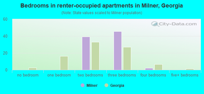 Bedrooms in renter-occupied apartments in Milner, Georgia