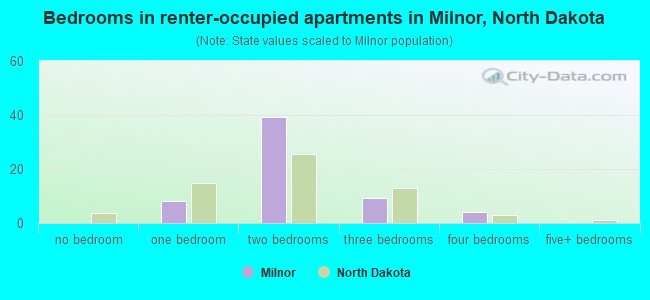 Bedrooms in renter-occupied apartments in Milnor, North Dakota