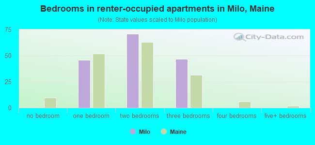 Bedrooms in renter-occupied apartments in Milo, Maine