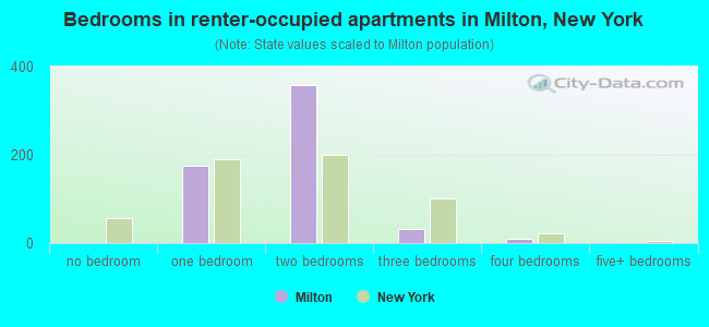 Bedrooms in renter-occupied apartments in Milton, New York