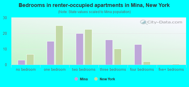 Bedrooms in renter-occupied apartments in Mina, New York