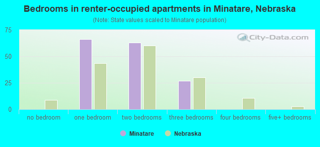 Bedrooms in renter-occupied apartments in Minatare, Nebraska