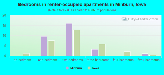 Bedrooms in renter-occupied apartments in Minburn, Iowa