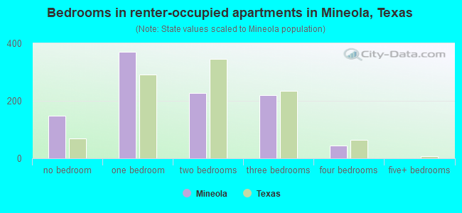 Bedrooms in renter-occupied apartments in Mineola, Texas