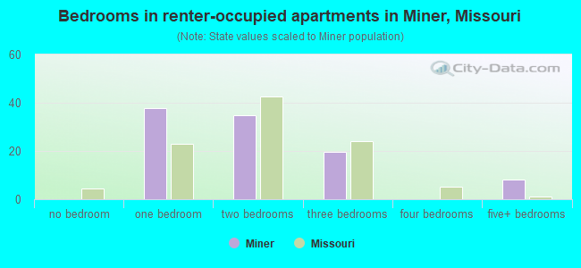 Bedrooms in renter-occupied apartments in Miner, Missouri