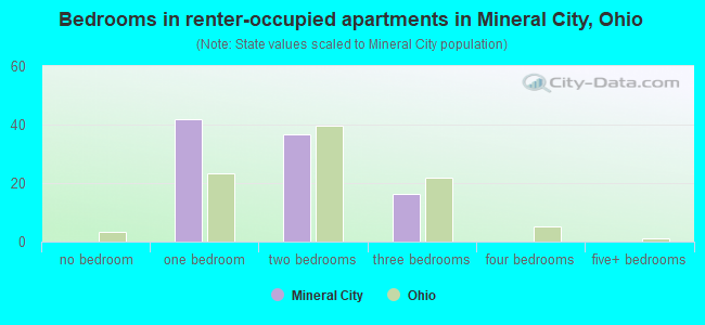 Bedrooms in renter-occupied apartments in Mineral City, Ohio
