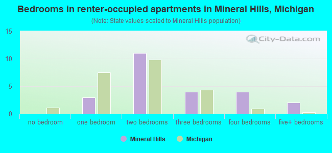 Bedrooms in renter-occupied apartments in Mineral Hills, Michigan