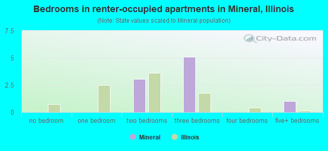 Bedrooms in renter-occupied apartments in Mineral, Illinois