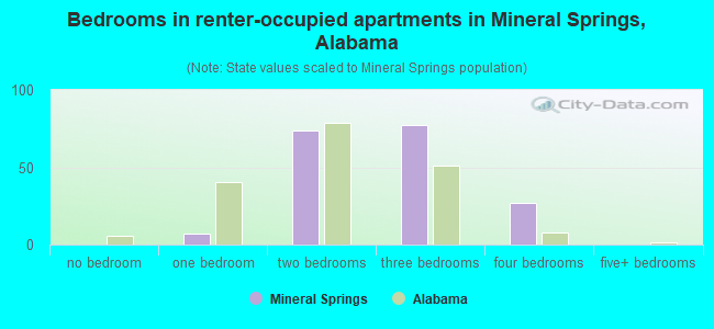 Bedrooms in renter-occupied apartments in Mineral Springs, Alabama