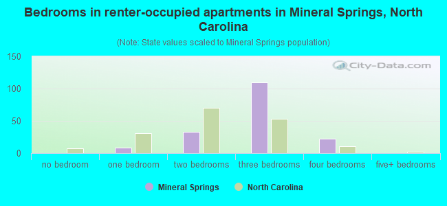 Bedrooms in renter-occupied apartments in Mineral Springs, North Carolina