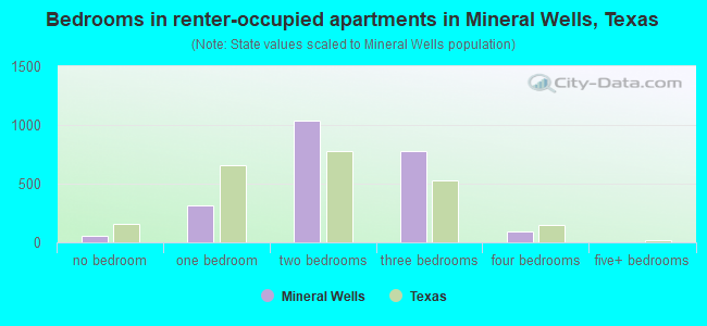 Bedrooms in renter-occupied apartments in Mineral Wells, Texas