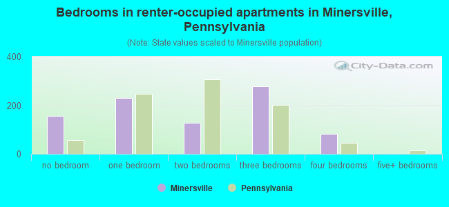 Bedrooms in renter-occupied apartments in Minersville, Pennsylvania