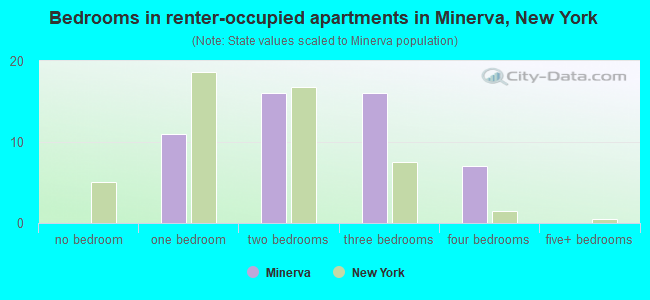 Bedrooms in renter-occupied apartments in Minerva, New York