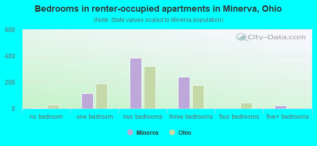 Bedrooms in renter-occupied apartments in Minerva, Ohio