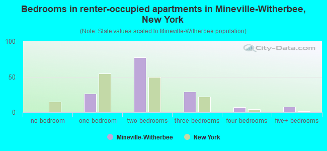Bedrooms in renter-occupied apartments in Mineville-Witherbee, New York