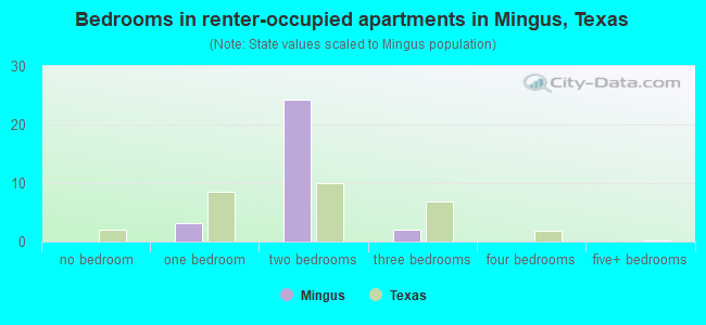 Bedrooms in renter-occupied apartments in Mingus, Texas