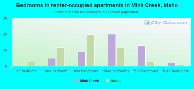 Bedrooms in renter-occupied apartments in Mink Creek, Idaho