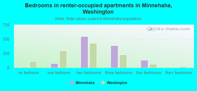 Bedrooms in renter-occupied apartments in Minnehaha, Washington