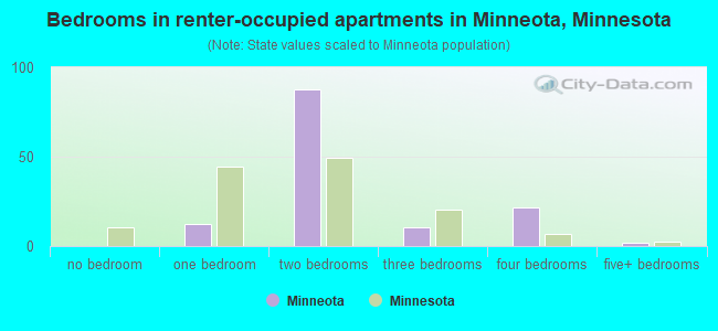 Bedrooms in renter-occupied apartments in Minneota, Minnesota
