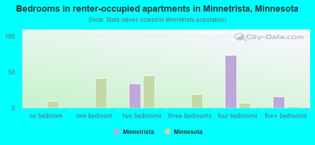 Bedrooms in renter-occupied apartments in Minnetrista, Minnesota