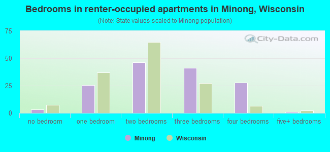 Bedrooms in renter-occupied apartments in Minong, Wisconsin