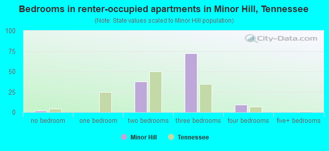 Bedrooms in renter-occupied apartments in Minor Hill, Tennessee