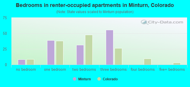 Bedrooms in renter-occupied apartments in Minturn, Colorado