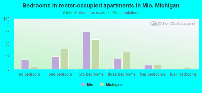 Bedrooms in renter-occupied apartments in Mio, Michigan