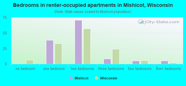 Bedrooms in renter-occupied apartments in Mishicot, Wisconsin