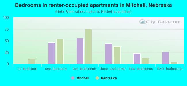 Bedrooms in renter-occupied apartments in Mitchell, Nebraska