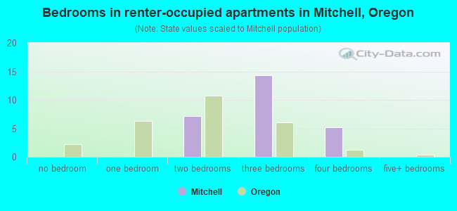 Bedrooms in renter-occupied apartments in Mitchell, Oregon