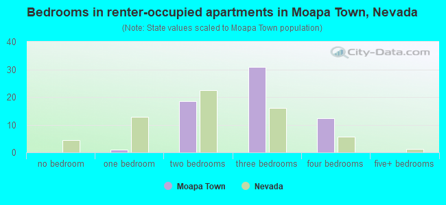 Bedrooms in renter-occupied apartments in Moapa Town, Nevada