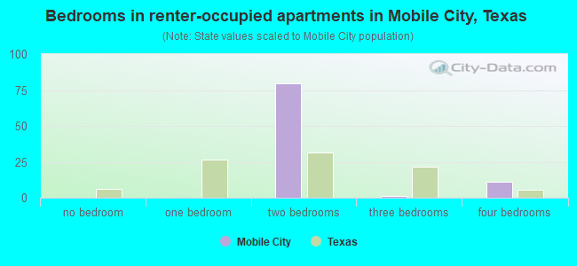 Bedrooms in renter-occupied apartments in Mobile City, Texas