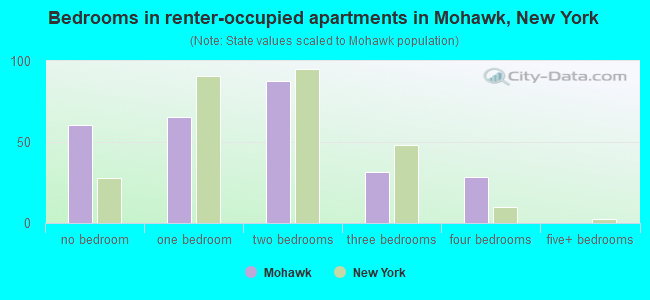 Bedrooms in renter-occupied apartments in Mohawk, New York
