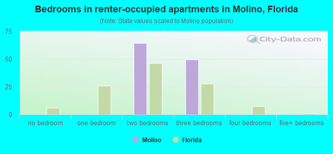 Bedrooms in renter-occupied apartments in Molino, Florida