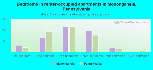 Bedrooms in renter-occupied apartments in Monongahela, Pennsylvania