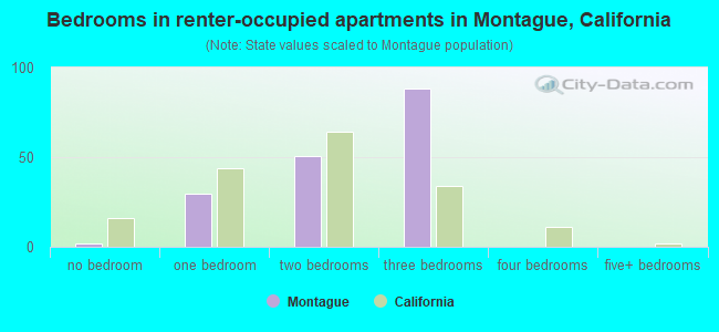 Bedrooms in renter-occupied apartments in Montague, California